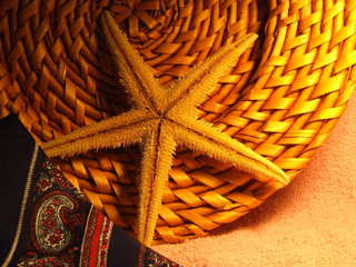 Fototapeta na wymiar starfish and basket