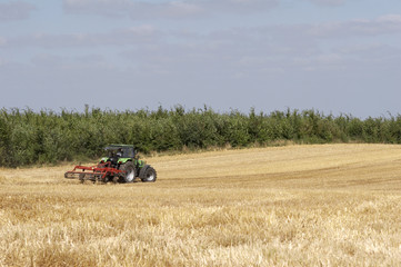 ernte mit traktor 03