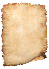 parchment paper background