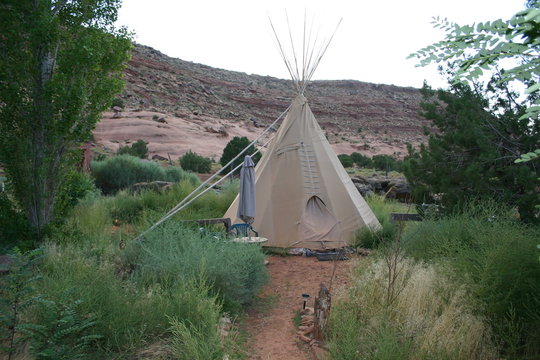 indian mojave tippy
