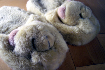 bear slippers