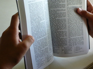 open book of mormon in the hands of a black person - obrazy, fototapety, plakaty