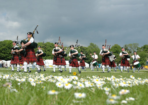 scottish pipe band marching on the grass