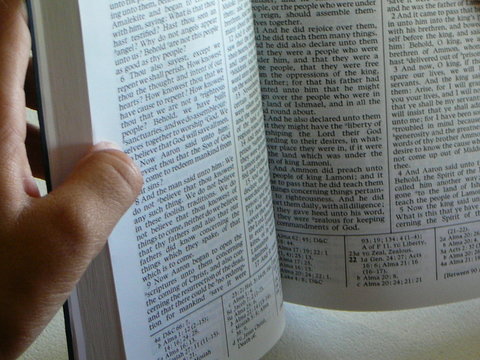 reading the book of mormon