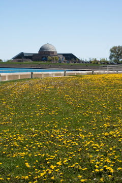 Chicago's Adler Planetarium