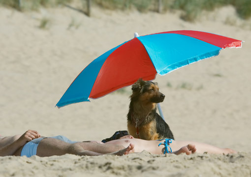 colorful scene on the beach