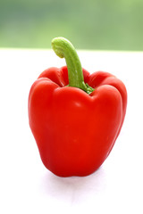 red bell pepper