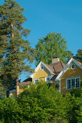 Fototapeta na wymiar żółty dom w lesie