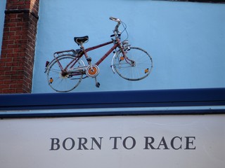 born to race