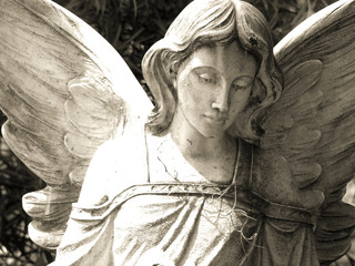 enchantment