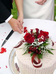 cutting the cake