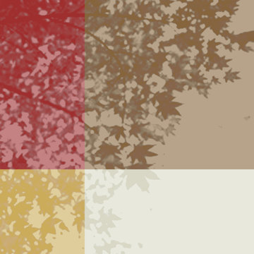 autumn leaves 2