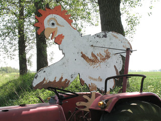 huhn auf traktor