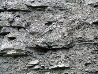 gray walls
