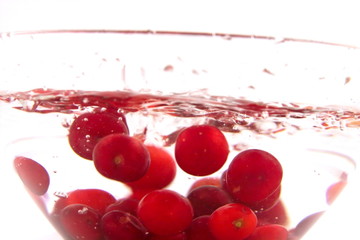 morello cherry bowl