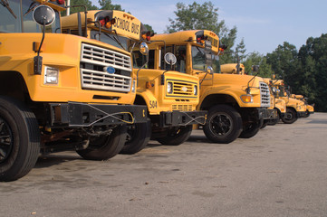 Fototapeta na wymiar school buses