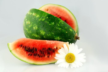 watermelon landscape