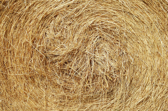 texture paille