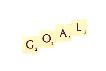goal