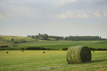 paysage moisson prairie