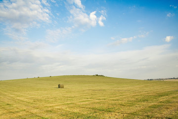 paysage moisson prairie