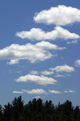 Obraz na płótnie Canvas clouds over trees