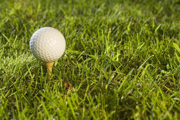golfball6