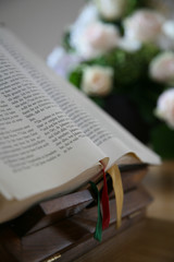 bibel
