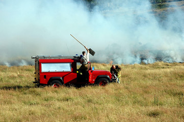 Fototapeta premium forest fire 01