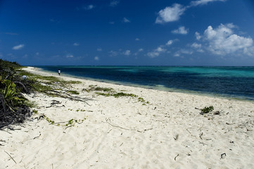 cayman beach