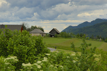 austria landscape