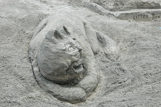 sand sculpture of a cat