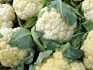 early cauliflowers