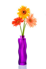three gerberas in a flower vase