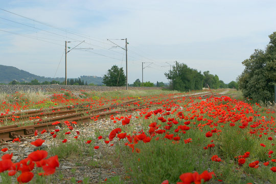 Voie ferr&eacute;e