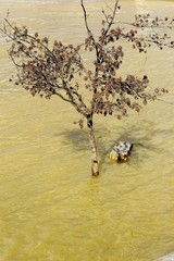 inondation