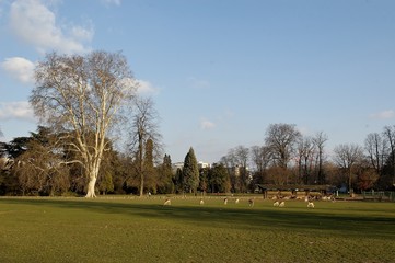 le parc de la tete d'or