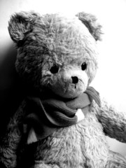 trauriger teddy