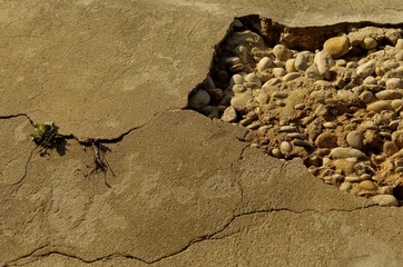 mur