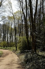 Obraz premium le parc de la tete d'or