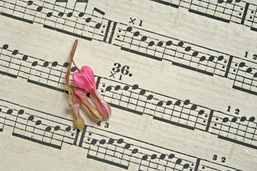 petal on music