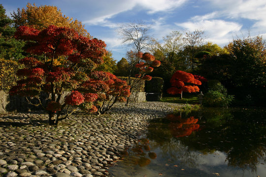 japanische herbst