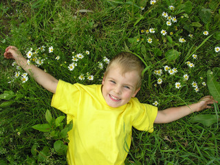 boy and camomiles