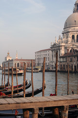 venice in the late-day sun