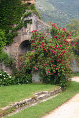 Fototapeta na wymiar stone and roses at ninfa gardens