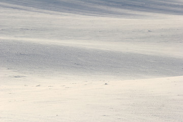 winter field