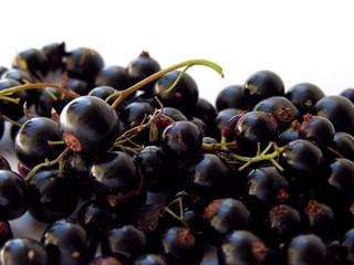 black currants