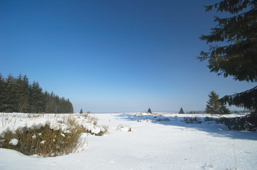 winter landscape