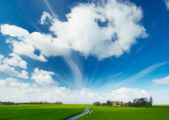 summer landscape