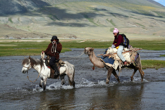 River Crossing On Camel